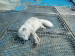 -泉城欧乐堡海洋极地世界