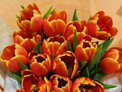 -AEON永旺(东方宝泰店)