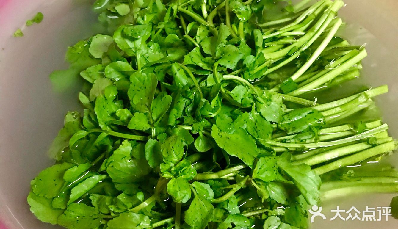 每日一汤|暖胃又暖身−西洋菜肉丸汤