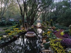 -上海共青森林公园