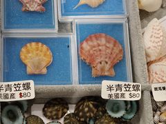 -中国湿地博物馆