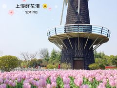 景点-上海鲜花港