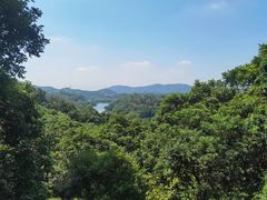 -天鹿湖森林公园