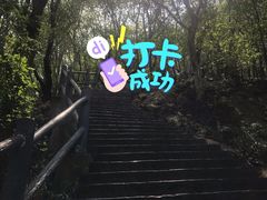 -紫金山山顶公园