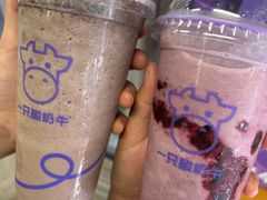 -一只酸奶牛(八一路店)