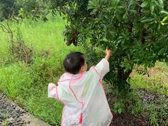 -塘栖枇杷特色园区