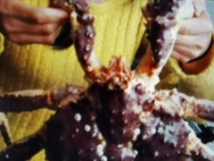 -江杨农产品批发市场