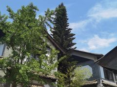 -云南民族大观园