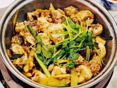 叹佬鸡煲-芳村榕树头叹佬鸡煲(体育西店)