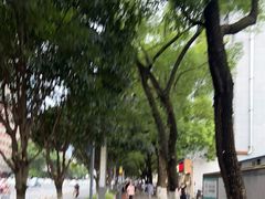 -阿捡忭京炸鸡(长沙韭菜园总店)