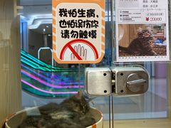 -屋虎猫馆(宝安大仟里店)