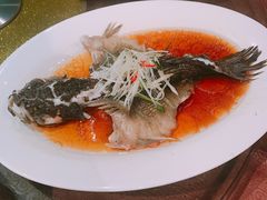 -东方明珠老上海8号餐厅(东方明珠广播电视塔店)