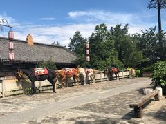 -天龙八部武侠城