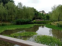 -沐仙湖湿地公园