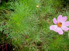 android_upload_pic-贵阳市花溪国家城市湿地公园