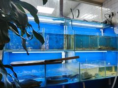 -阿鸡鱼庄·顺德鲜蒸小炒(亚运村店)