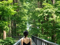 -黄海国家森林公园