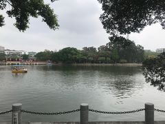 -公园茶楼粤式点心