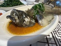 -强记海鲜·大排档(蛇口新街店)
