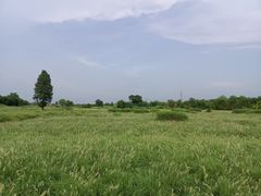 -良渚古城遗址公园