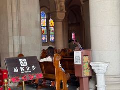 -上海佘山国家森林公园西佘山园