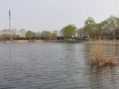 -永定河休闲森林公园