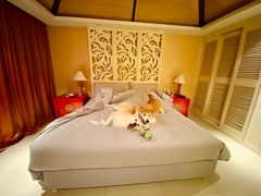 -太阳岛度假酒店