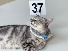 -怪兽屋·羊驼·猫咖·狗咖(俊华广场店)