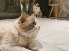 -星光摄影器材城