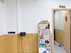 -康成宠物医院24H·CT·核磁共振