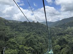 -野象谷景区