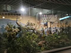 -山东省科技馆(新馆)