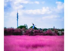 -嘉北郊野公园