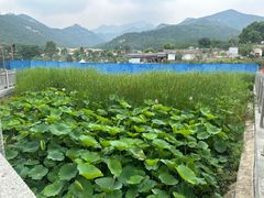-泰山风景名胜区-虎山公园