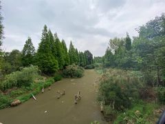 -呈贡滇池生态湿地公园
