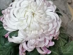-汇龙潭
