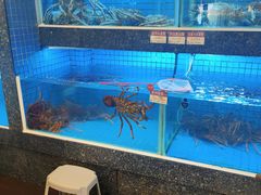 -金悦轩海鲜城(渔人码头店)