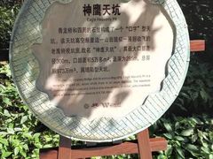-重庆武隆天生三桥风景区-神鹰天坑