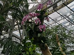 -北京植物园-展览温室