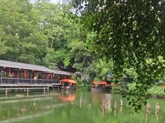 -侨美·唐荔园·40年地道粤菜