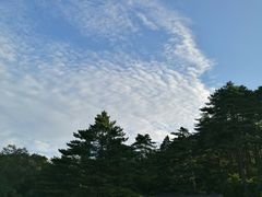 -黄山排云型旅酒店餐厅