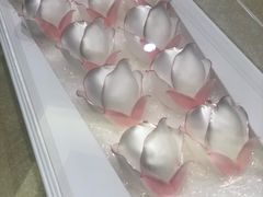 -BLACKSWAN黑天鹅(环球店)