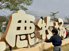 -盈香心动乐园