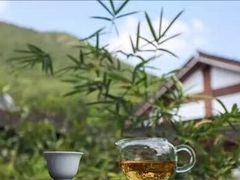 -荷塘月色湿地公园·向阳花洲