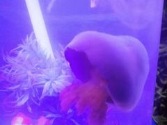 -欧亚达商业广场(红桥店)