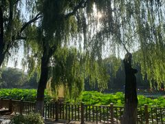 -北陵公园