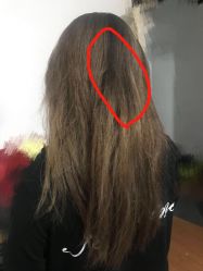 -SALON V