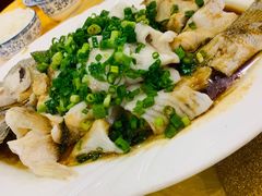 特色香葱淋鲈鱼-粤·向群饭店(泮塘路店)