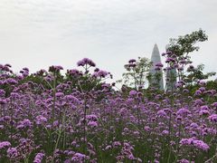 -深圳湾公园(南山区)