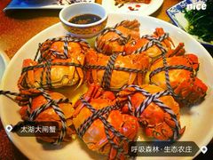 -呼吸森林·生态农庄农家乐私房菜